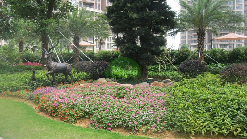 办公室绿植租摆，如何选择合适的规格参数？**