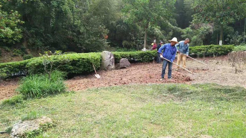 小区绿化景观设计：从规划到实施的五大关键步骤**