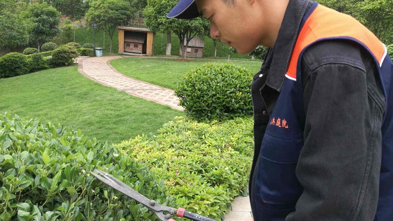 小区绿化养护，如何设置标准参数？**