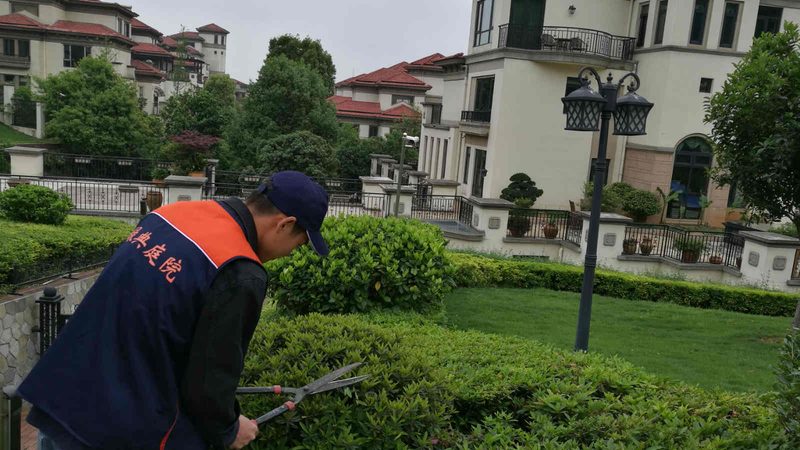 成都立体绿化加盟代理，揭秘其背后的市场机遇与专业考量