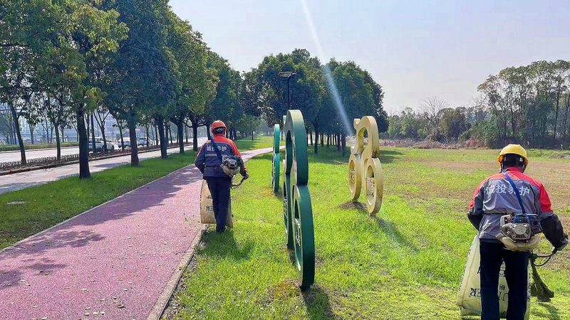 家庭屋顶绿化哪种植物好