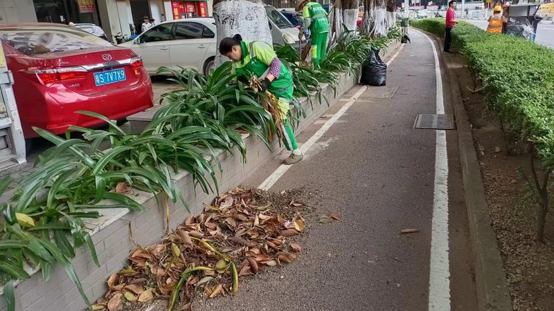 草坪铺设设备：如何选择与优缺点分析