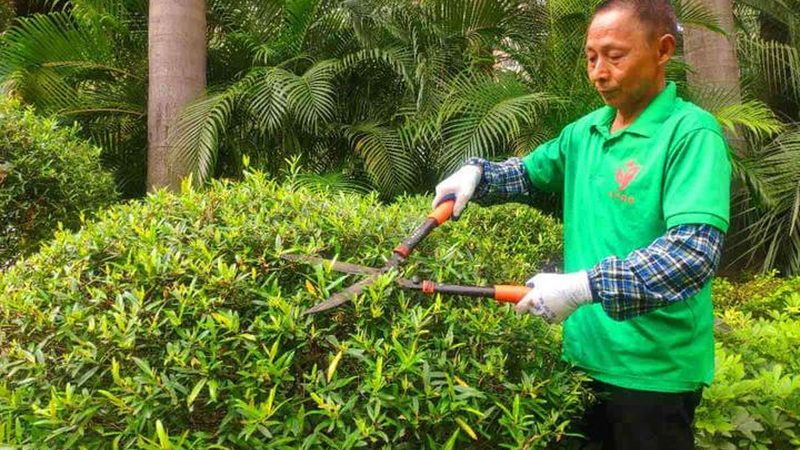 如何挑选小区绿化设计公司：设计水平高的关键因素