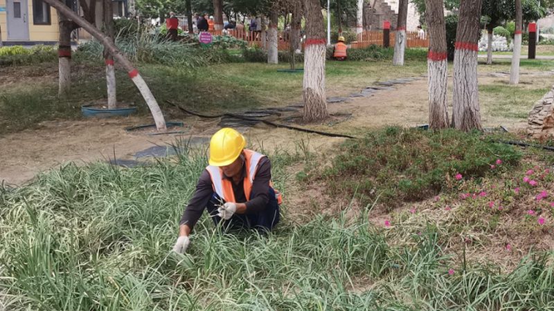 屋顶绿化报价单：揭秘影响报价的关键因素**