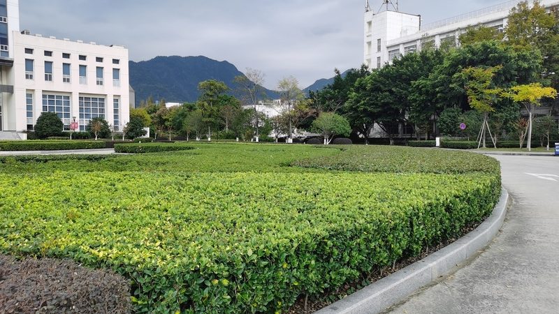 上海园林绿化工程收费标准揭秘：影响因素与合理评估**