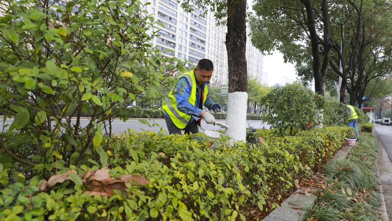 绿化资质与市政资质：共筑绿色城市基石**