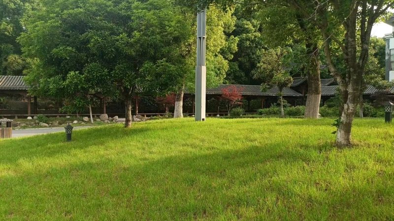 广州酒店大堂绿植租赁：打造绿色空间的秘密**
