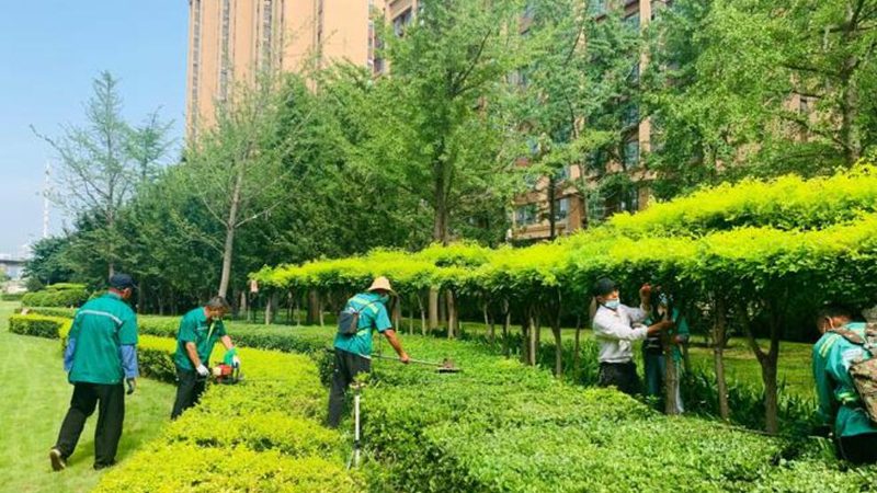屋顶花园设计公司收费标准揭秘：如何避免陷入误区